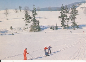 Zwardoń - 016696