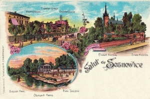 Sosnowiec widokowa - Reprodukcja 15437