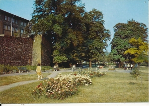 Gorzów Wielkopolski - 016715
