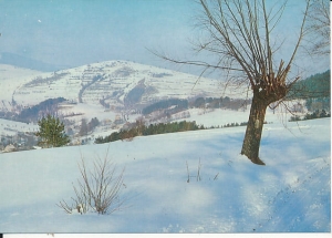 Milówka - 016741
