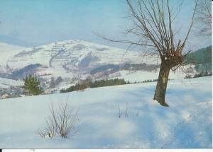 Milówka - 016742