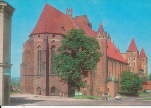 Kwidzyn - 016783