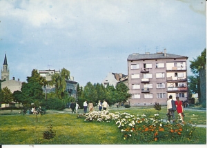 Gorzów Wielkopolski - 016839
