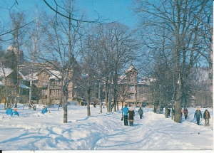 Krynica - 016875