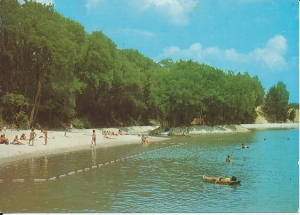 Witnica - 016883