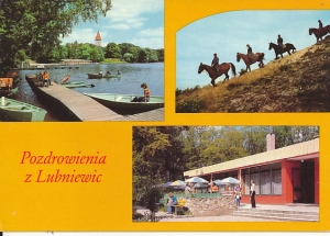 Lubniewice - 017022