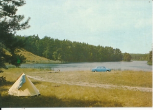 Ośno Lubuskie - 017093