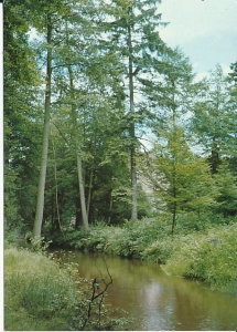 Iłowa - 017094