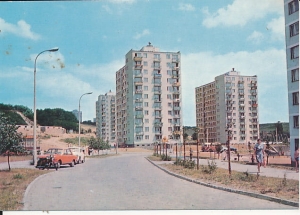 Gorzów Wielkopolski - 017141