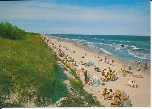 Dziwnówek - 017152