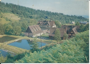 Łopuszna - 017234