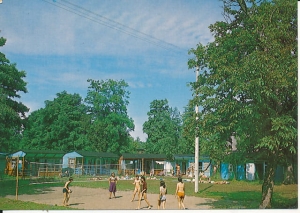 Dziwnówek - 017284
