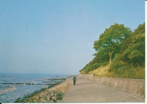 Niechorze - 017294