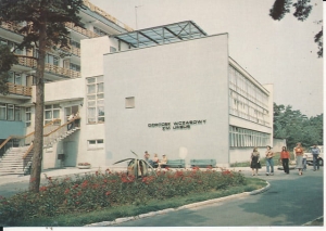 Dźwiżyno - 017322
