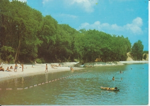 Witnica - 017362