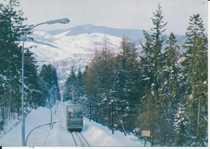 Krynica - 017371
