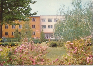 Hajnówka - 017445