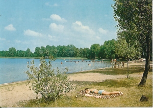 Pszczew - 017456