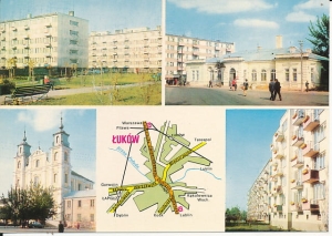 Łuków - 017491
