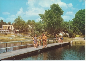 Witnica - 017518