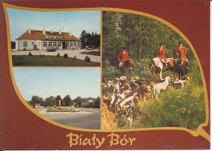 Biały Bór - 017531
