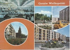 Gorzów Wielkopolski - 017543