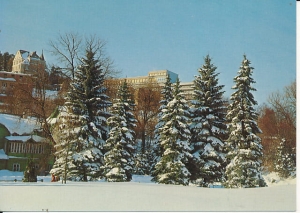 Krynica - 017584