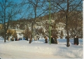 IMG_0068.jpg