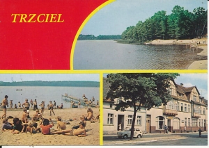 Trzciel - 017614