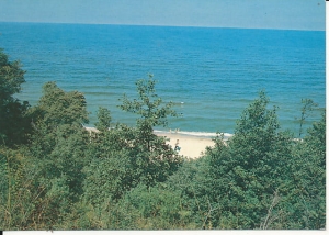 Nowe Śliwno - 017679