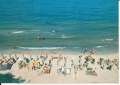 IMG_0065.jpg