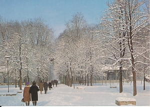 Kudowa Zdrój - 017771
