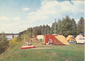 Brok - 017811