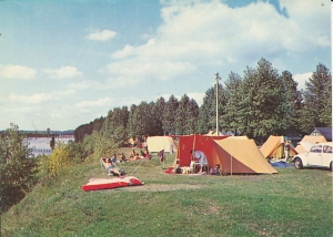 Brok - 017813