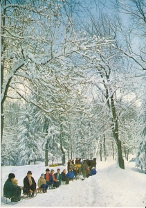 Góry Stołowe - 017929