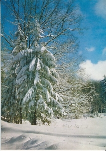 Góry Stołowe - 017931