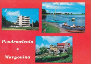 Margonin - 017964