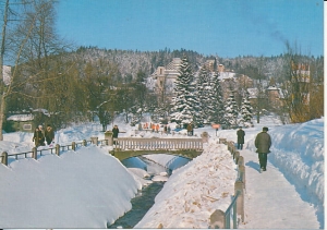 Krynica - 017982