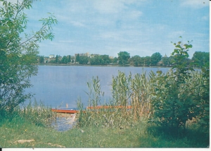 Międzychód - 018148