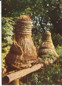 Wdzydze Kiszewskie - 018171