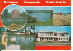 Gołańcz, Szamocin - 018246