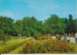 Gorzów Wielkopolski - 018271