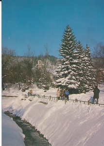 Krynica - 018304