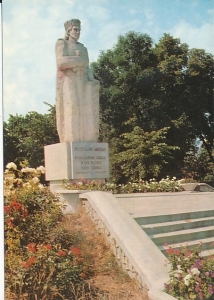 Skwierzyna - 018351