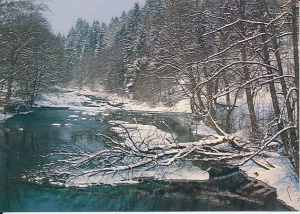 Beskid Śląski - 018395