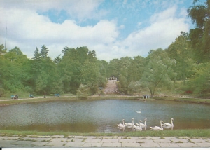 Lębork - 018421