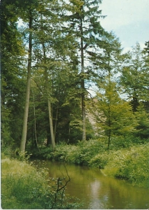 Iłowa - 018453