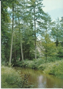 Iłowa - 018531