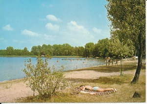 Pszczew - 018563