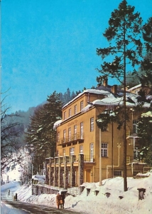 Żegiestów - 018639